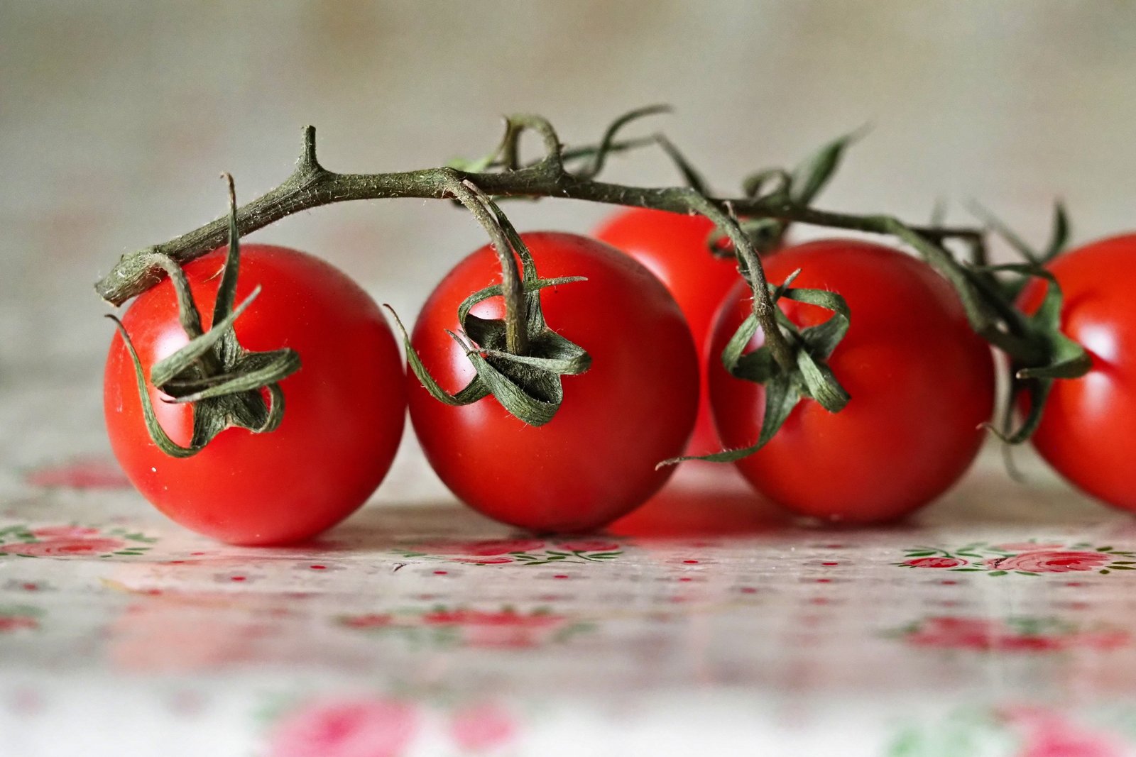 Veggies Download Wallpapers