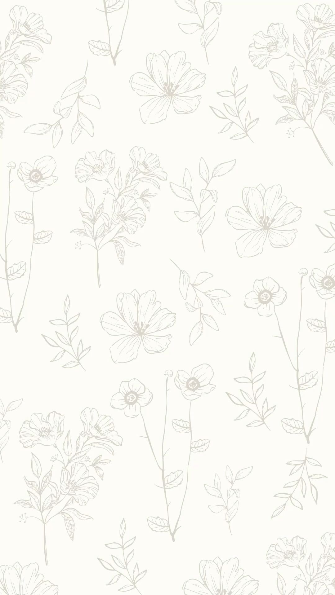 White Flowers Gray Line Design Download Wallpapers