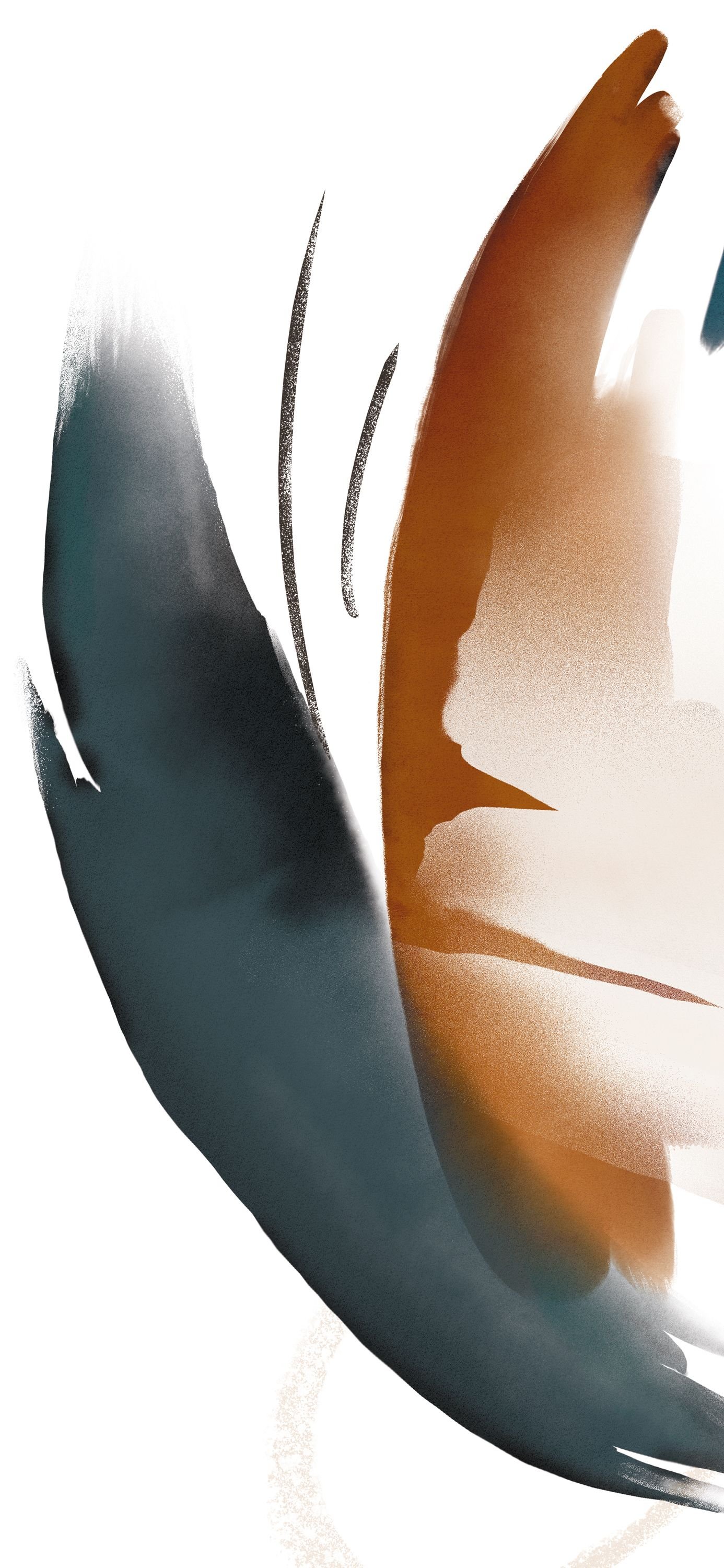 Minimalist Birds in Flight Download Wallpapers