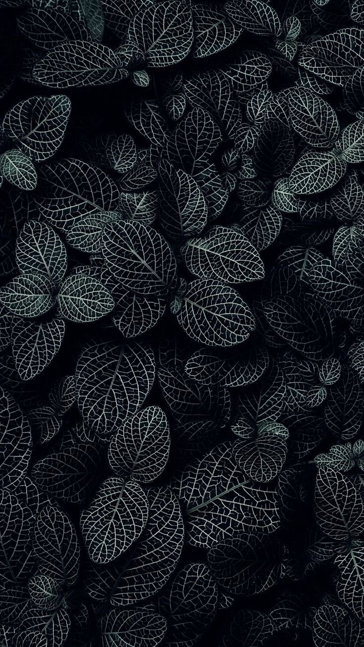 Minimal Black Mobile Background Download Wallpapers