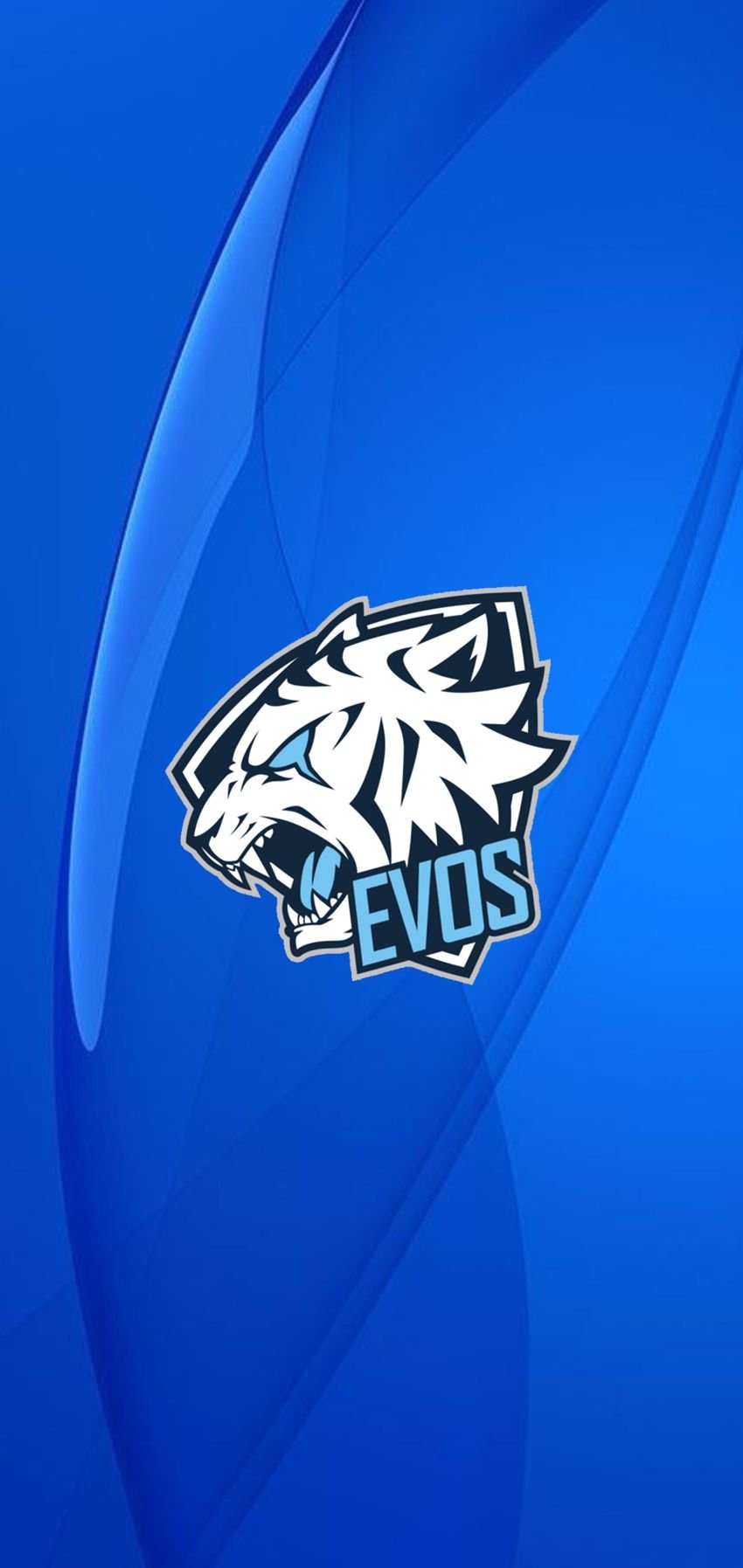 EVOS Esports Gaming Visuals Download Wallpapers