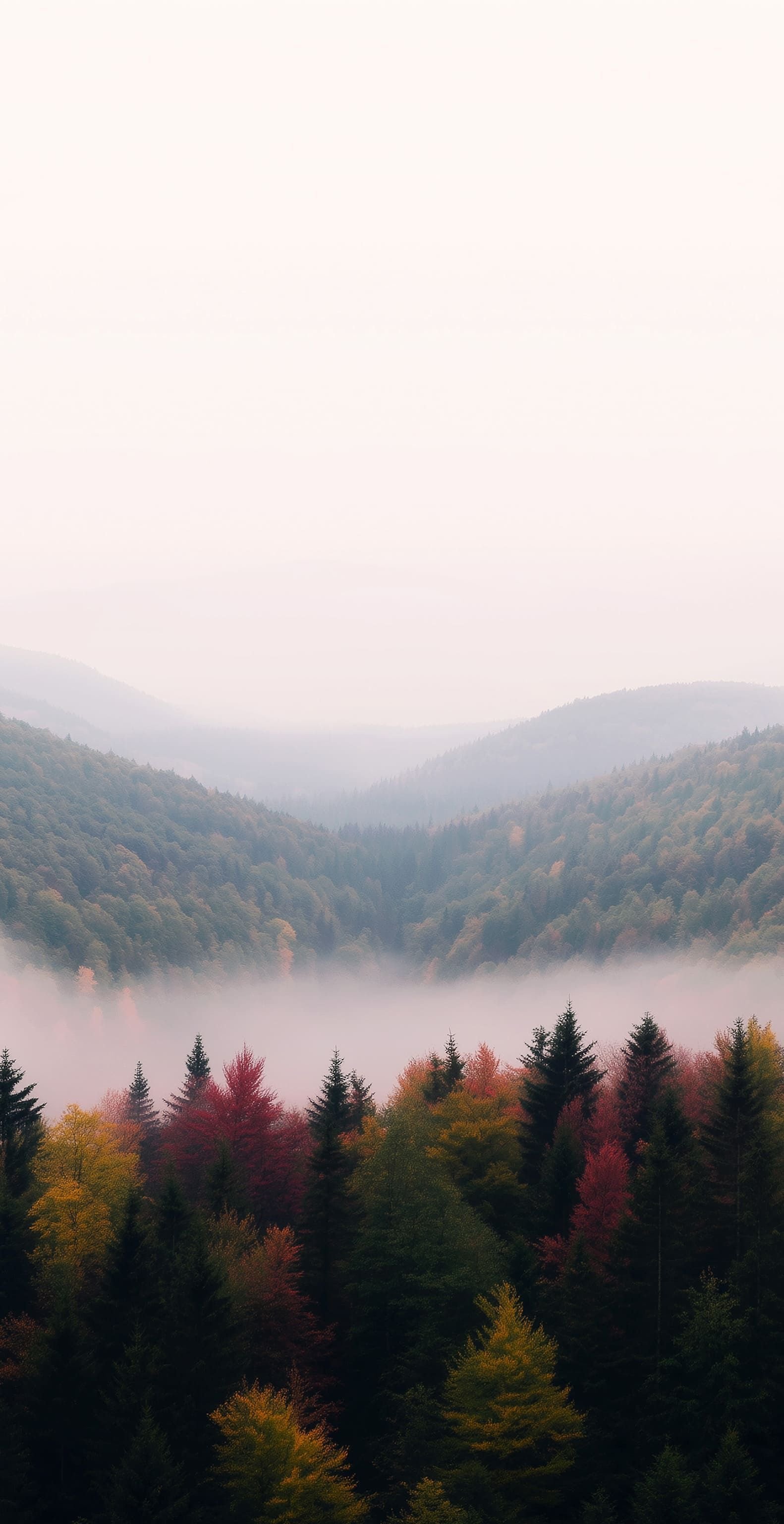 Serene Mountain Lake Reflection Download Wallpapers