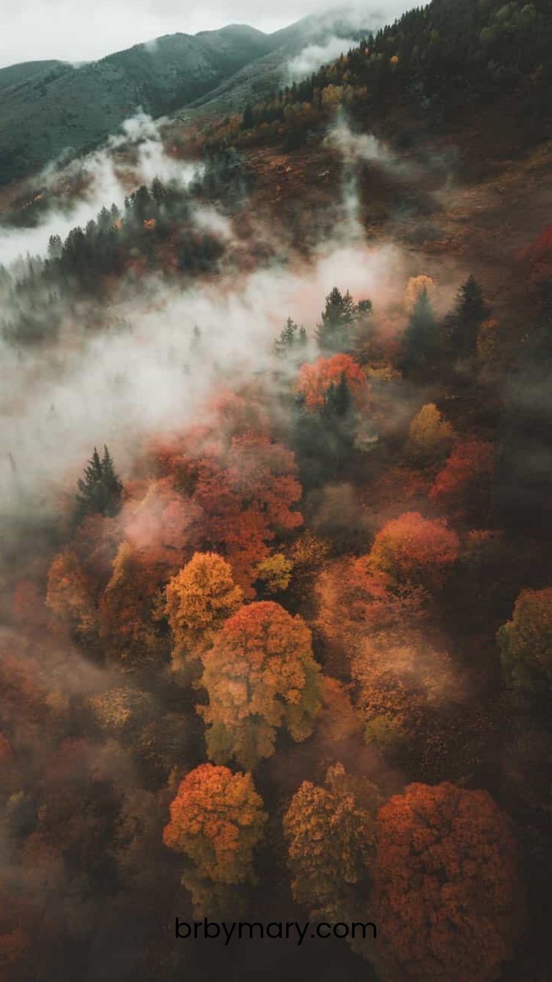 Serene Mountain Landscape View Download Wallpapers