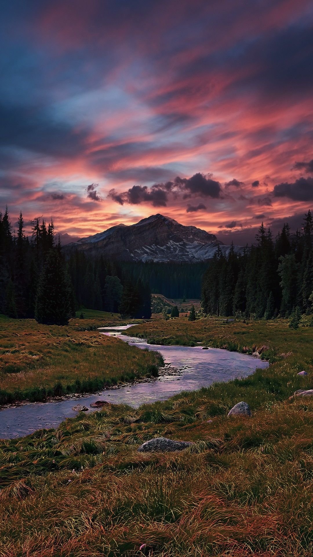 Serene Stream in Lush Meadow Download Wallpapers