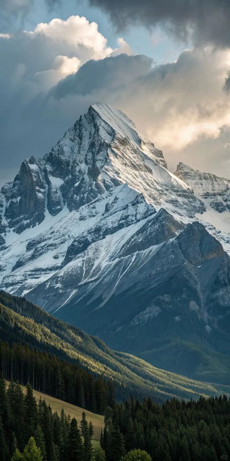 Snowy Peaks and Pine Forest Download Wallpapers