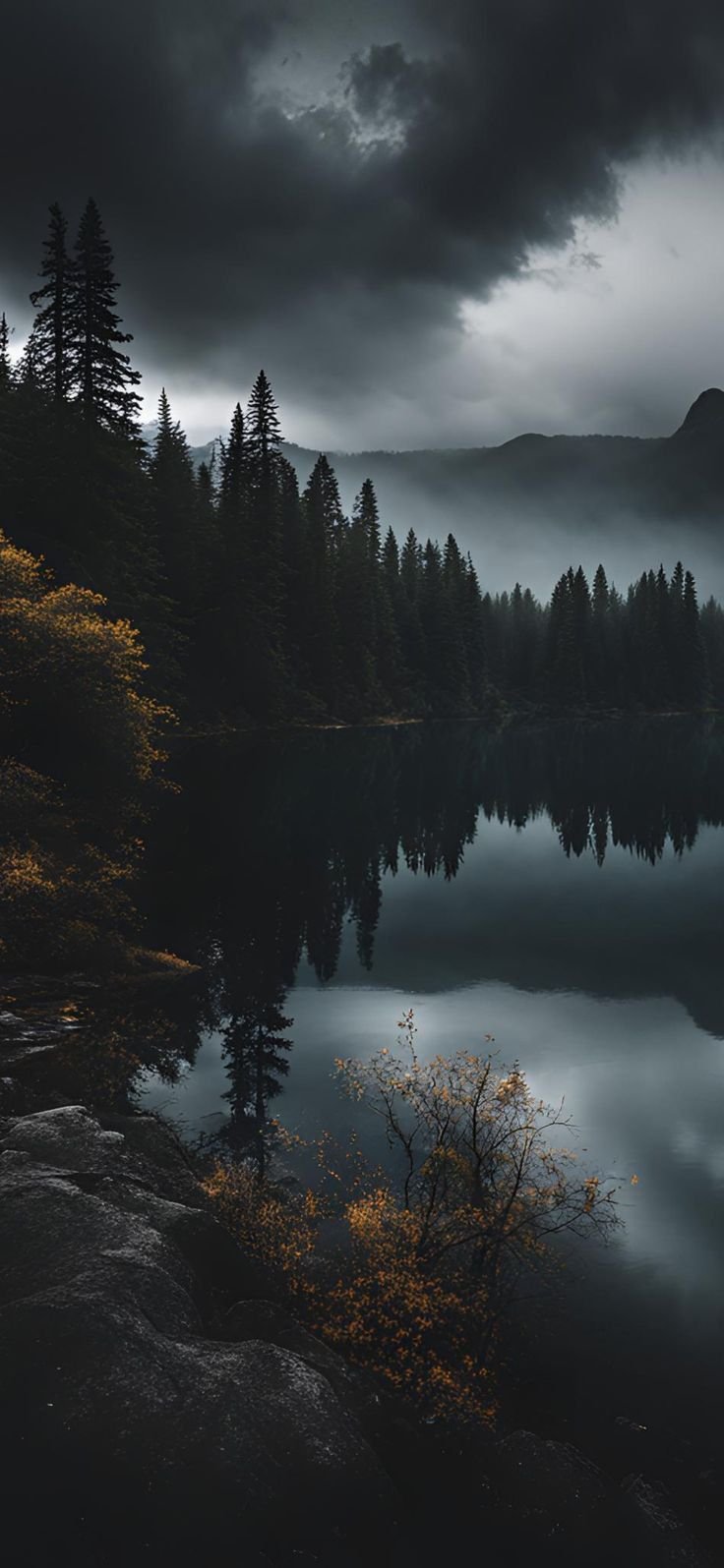 Misty Lakeside Forest Reflection Download Wallpapers