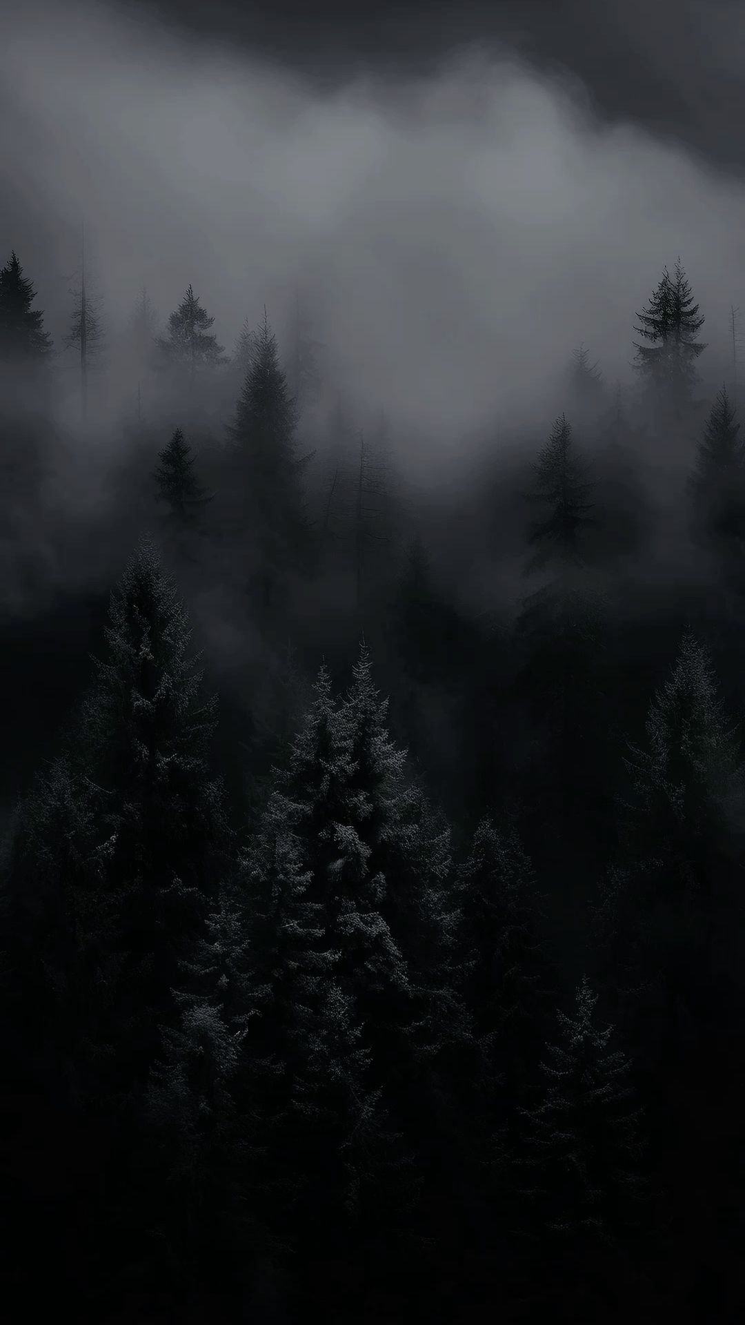 Misty Forest Moonlight Glow Download Wallpapers