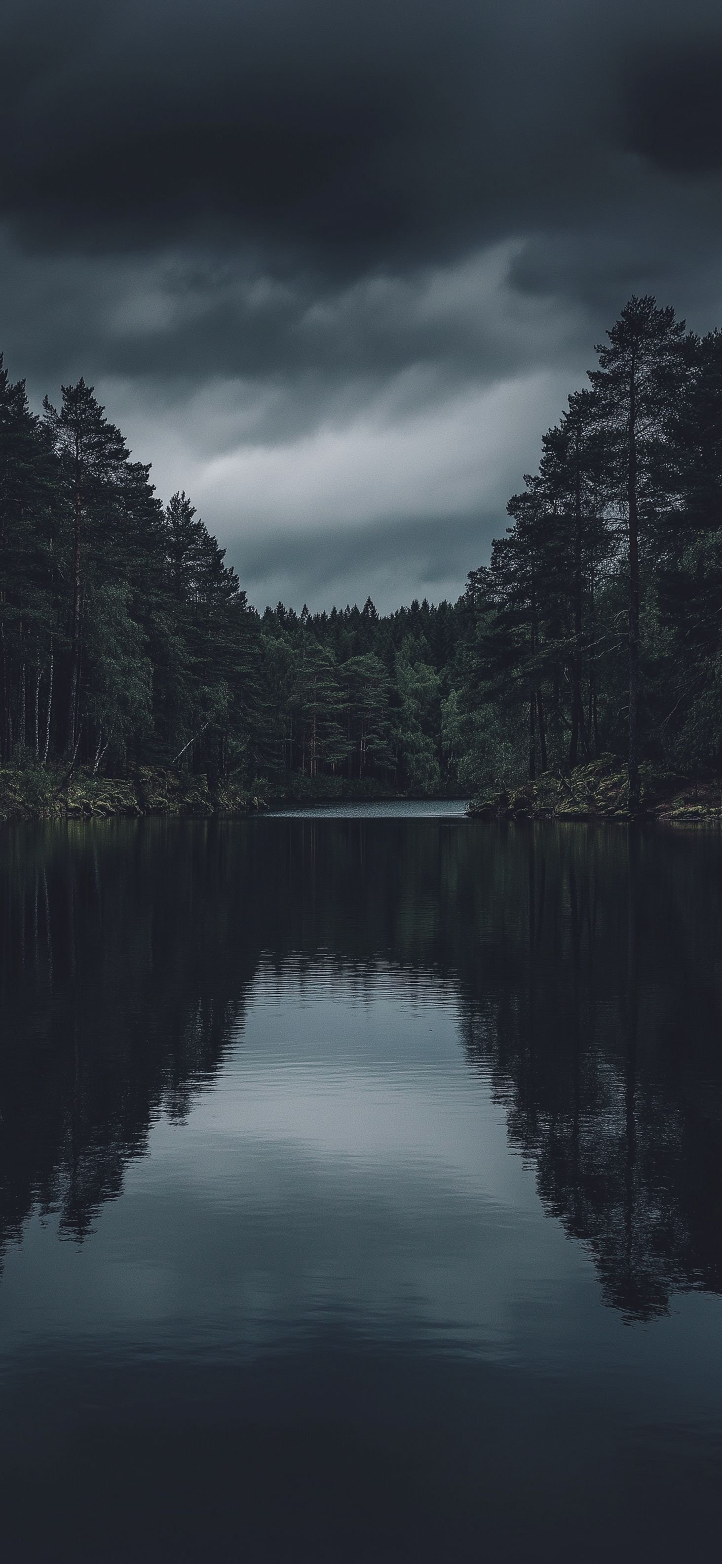 Tranquil Forest Mountain View Download Wallpapers