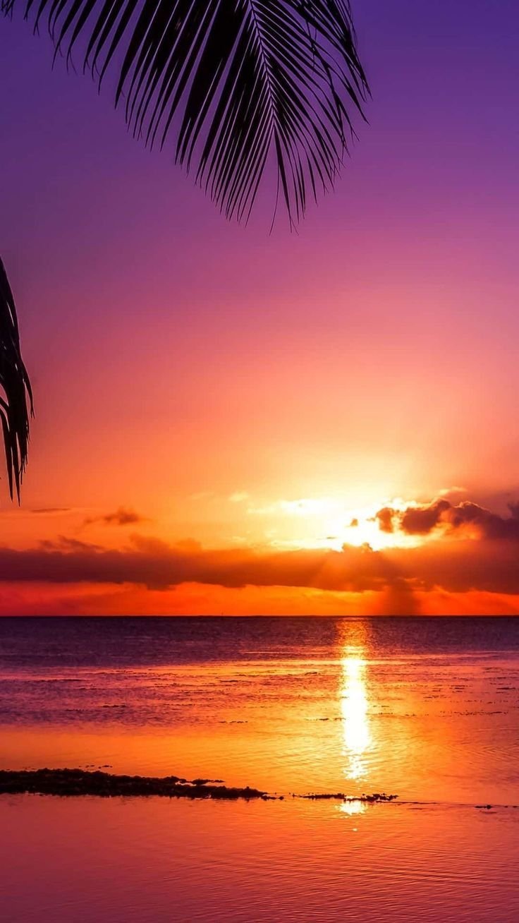 Serene Sunset Horizon Glow Download Wallpapers