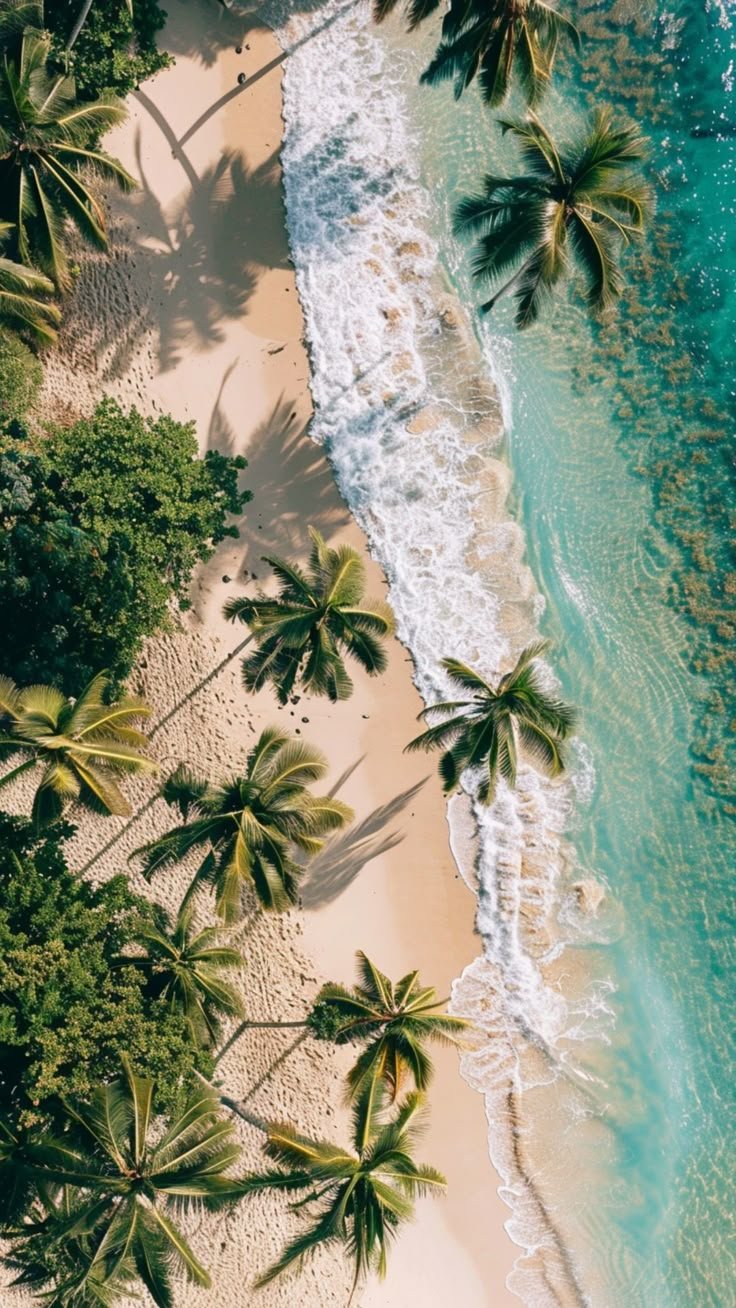 Beach Download Wallpapers