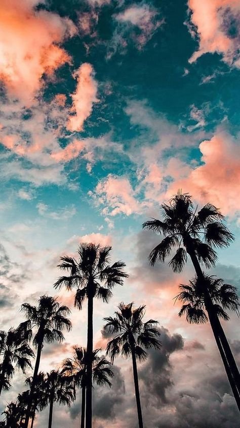 Beach sky Download Wallpapers