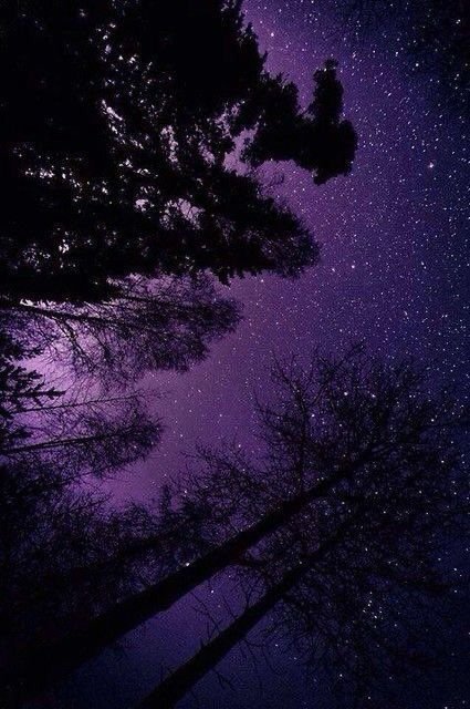 Purple sky Download Wallpapers