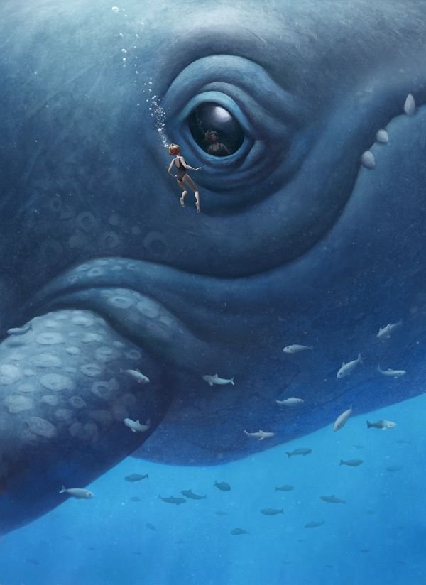 Blue Whale Download Wallpapers