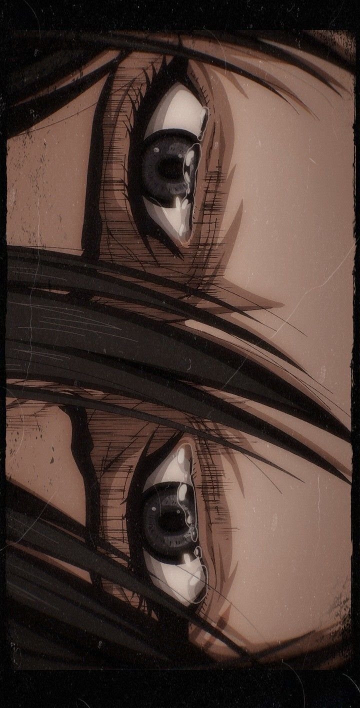 Mikasa Download Wallpapers