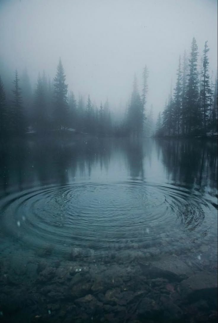 Foggy lake Download Wallpapers