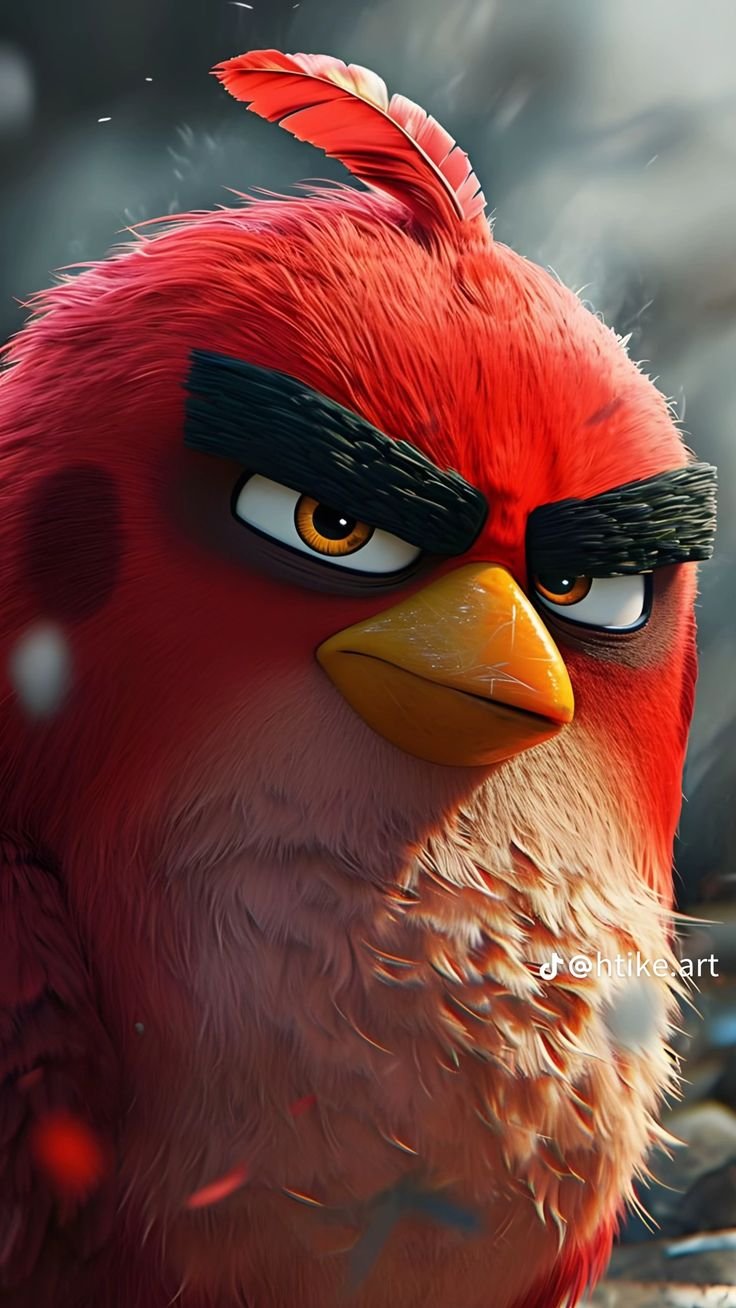 Angry Bird Download Wallpapers
