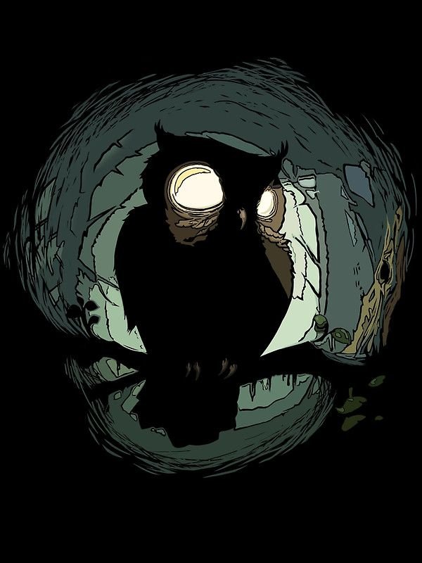 Owl Download Wallpapers