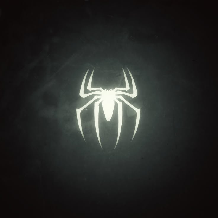 Spider Download Wallpapers