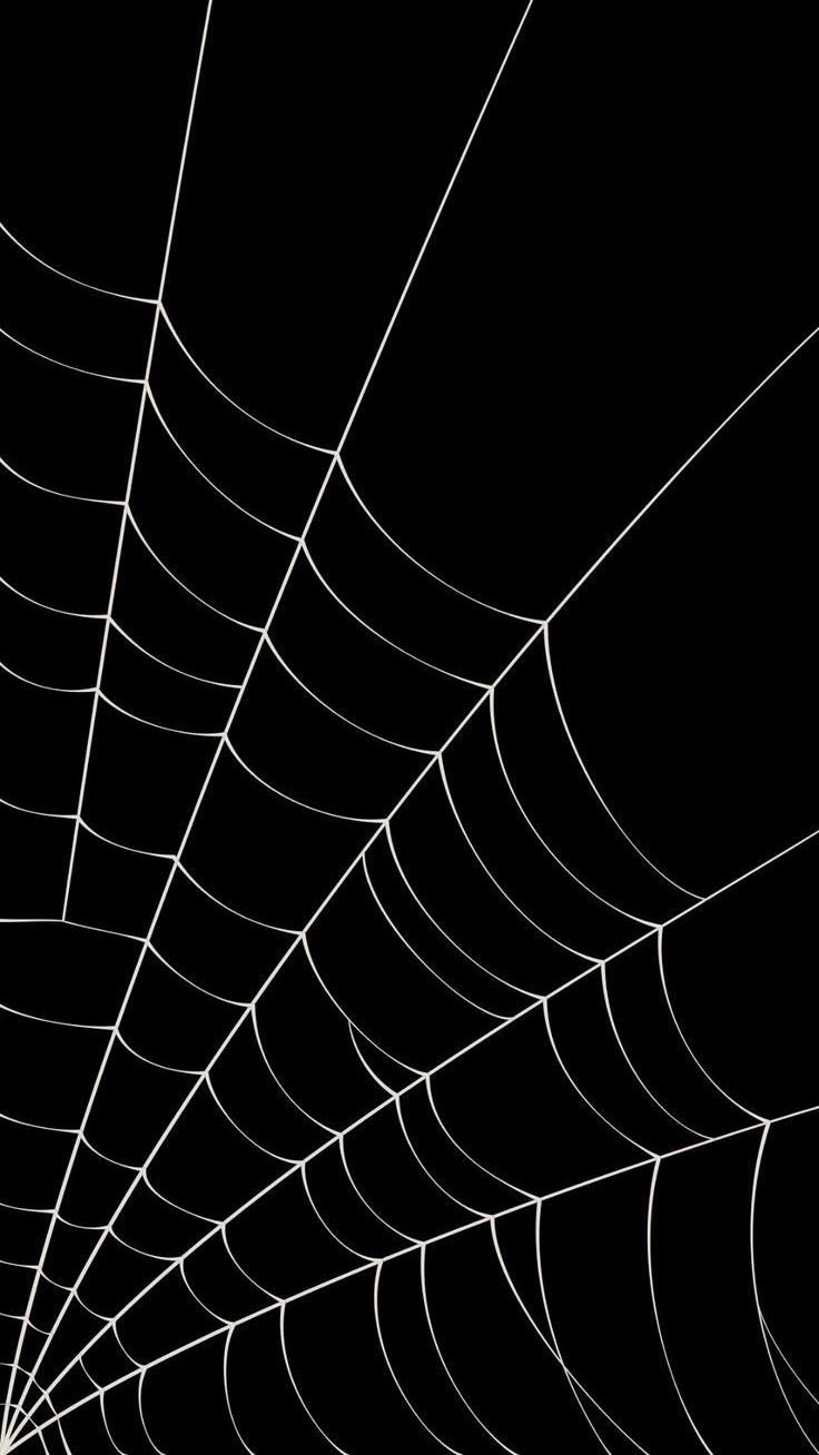 Web Download Wallpapers