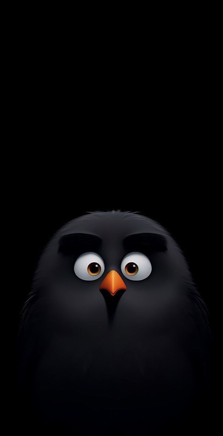 Bird Download Wallpapers