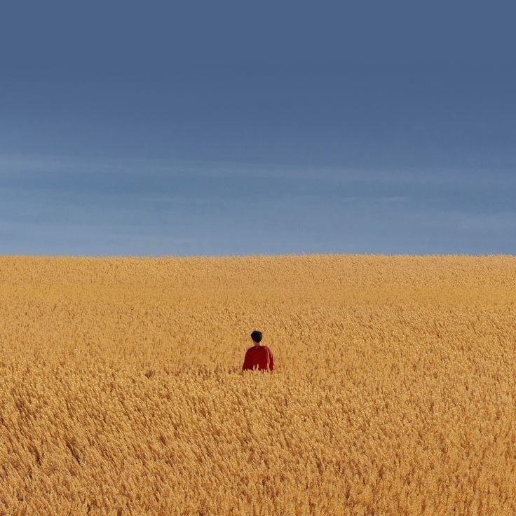 Wandering Download Wallpapers
