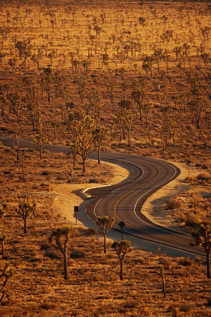 Road in the Desert Download Wallpapers