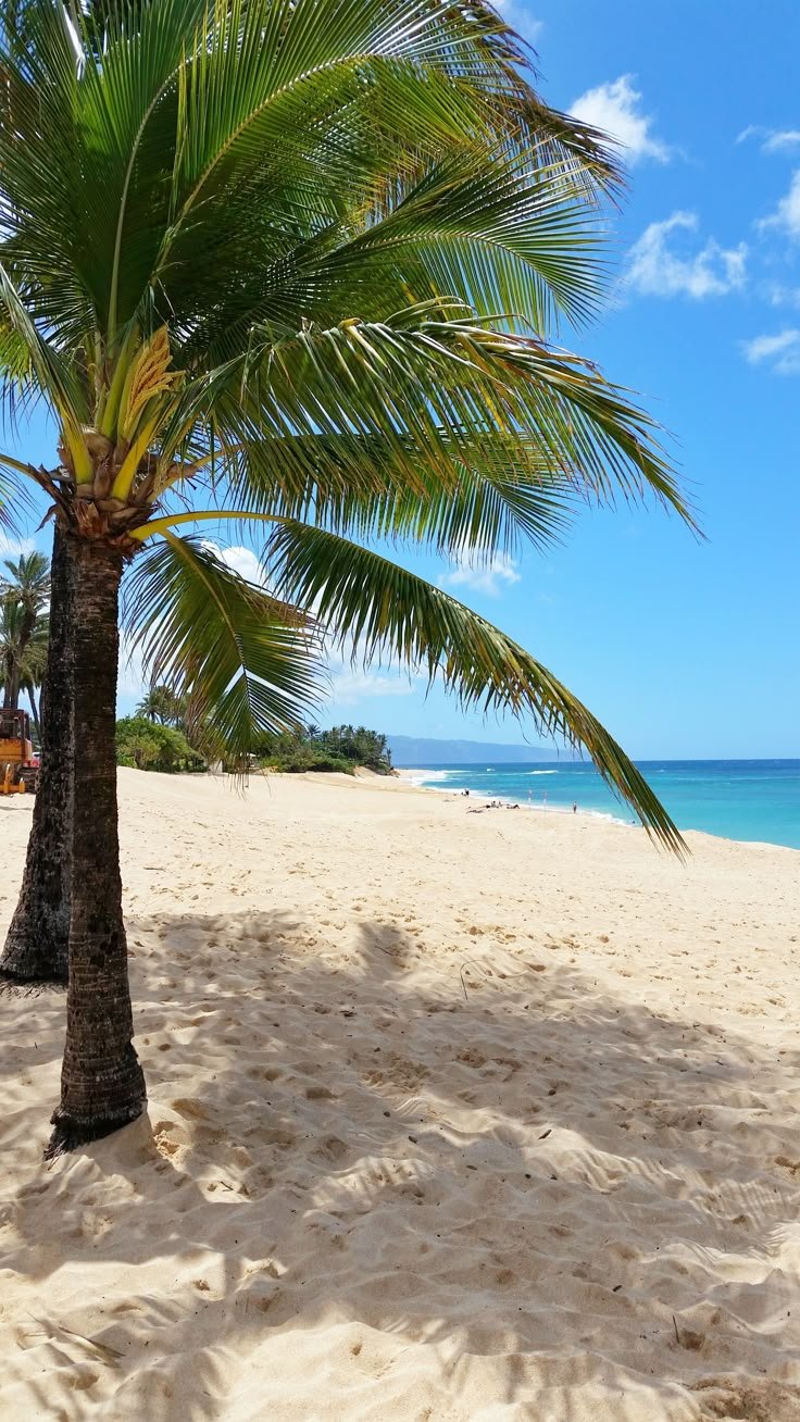 Beach Download Wallpapers