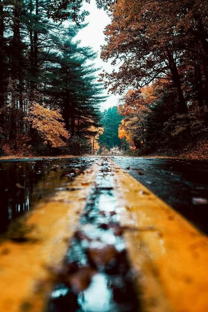 Driveway Download Wallpapers