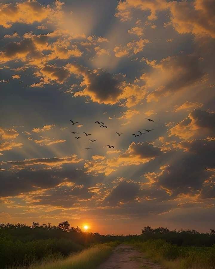 Sunset Download Wallpapers