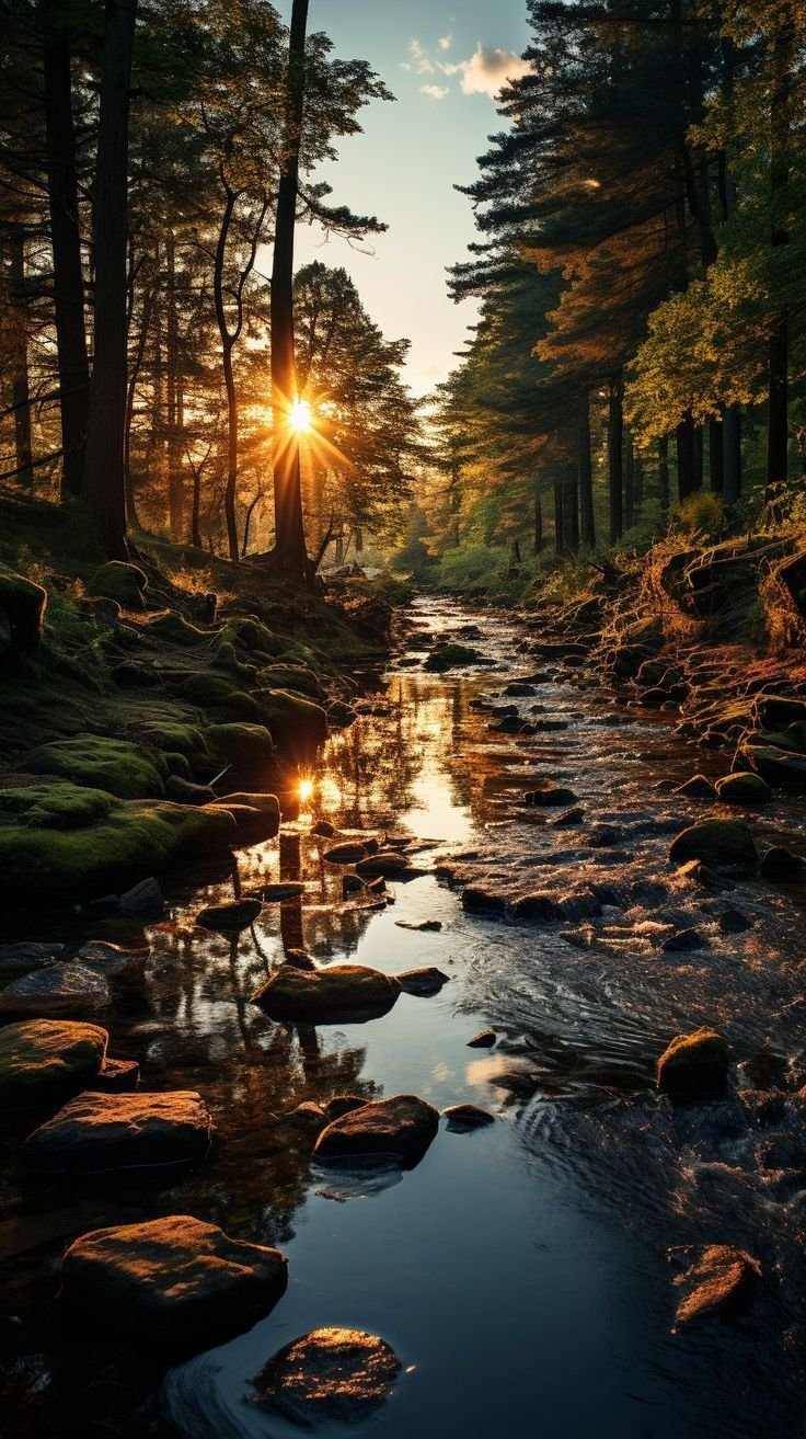 Stream Download Wallpapers