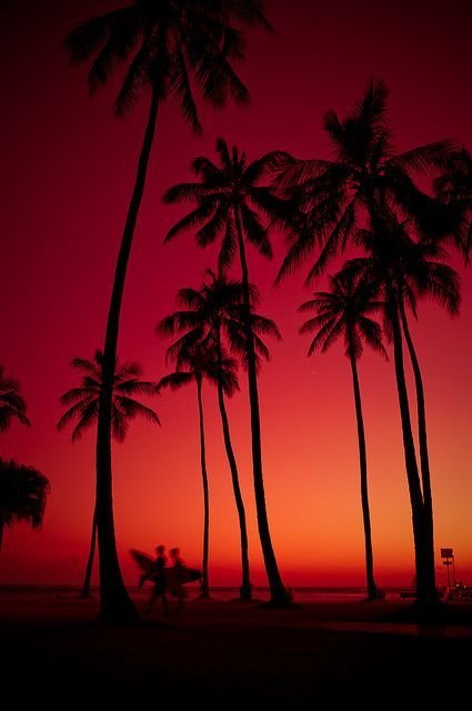 Miami Download Wallpapers