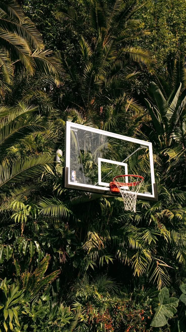 Basketball net Download Wallpapers