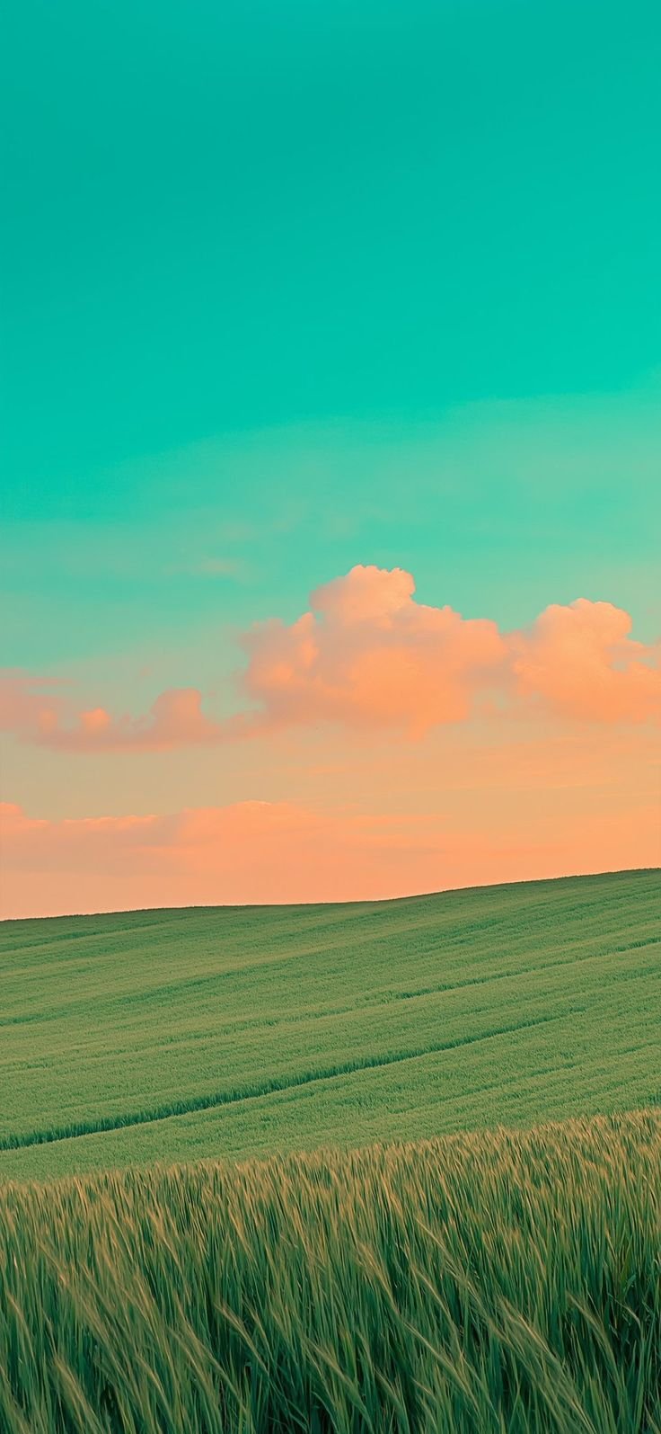 Sky Download Wallpapers