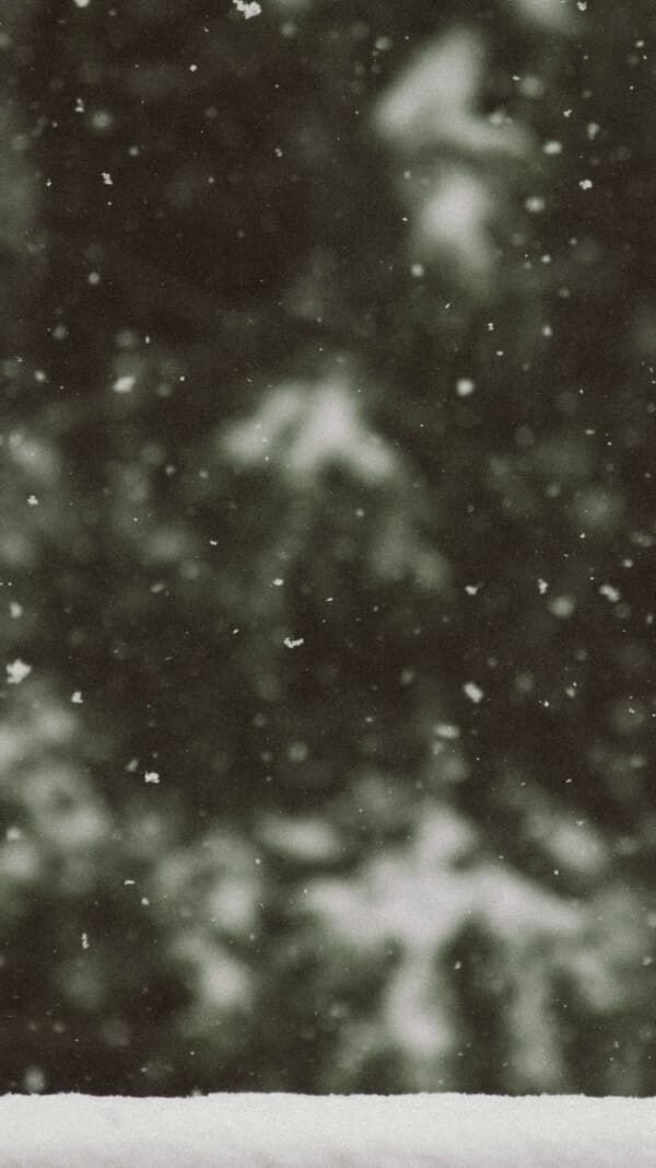 Snow Download Wallpapers