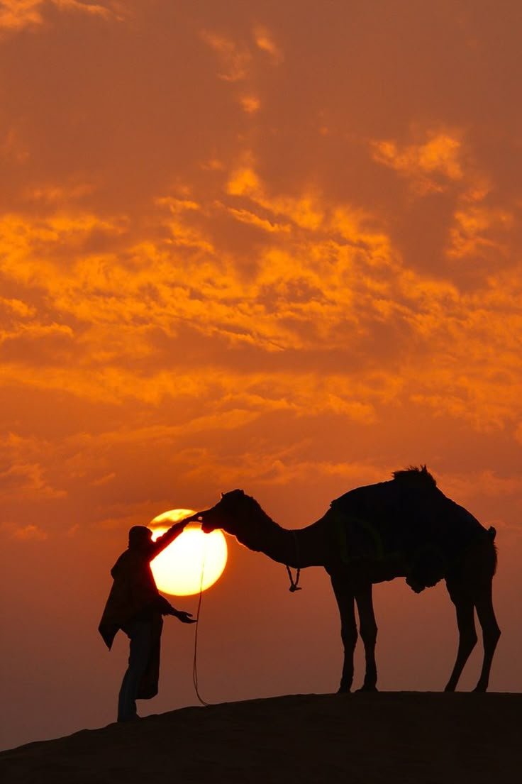 Africa Download Wallpapers