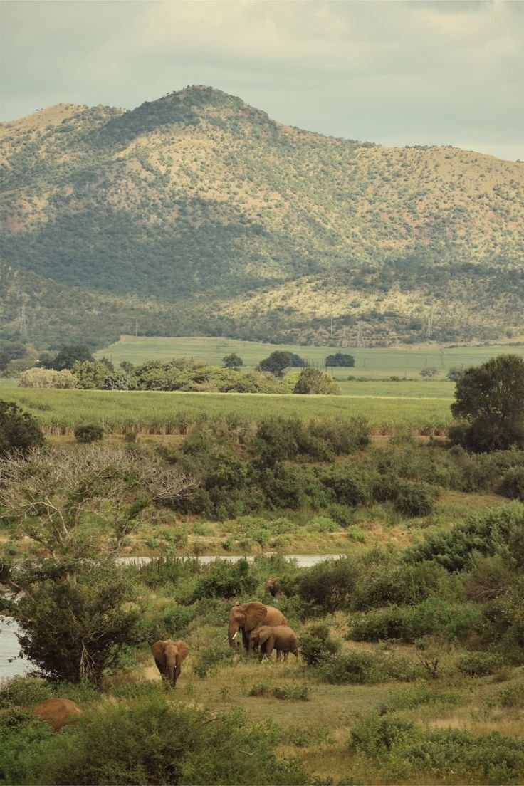 Africa Download Wallpapers