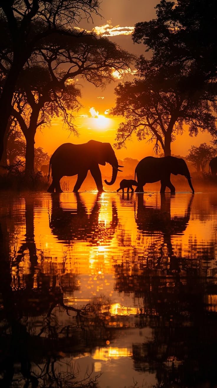 Africa Download Wallpapers