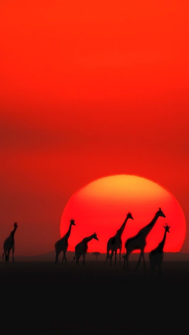 Africa Download Wallpapers
