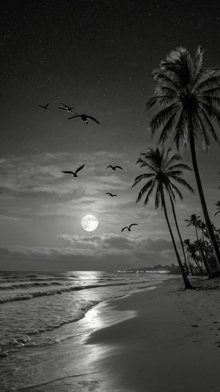 Sun Download Wallpapers