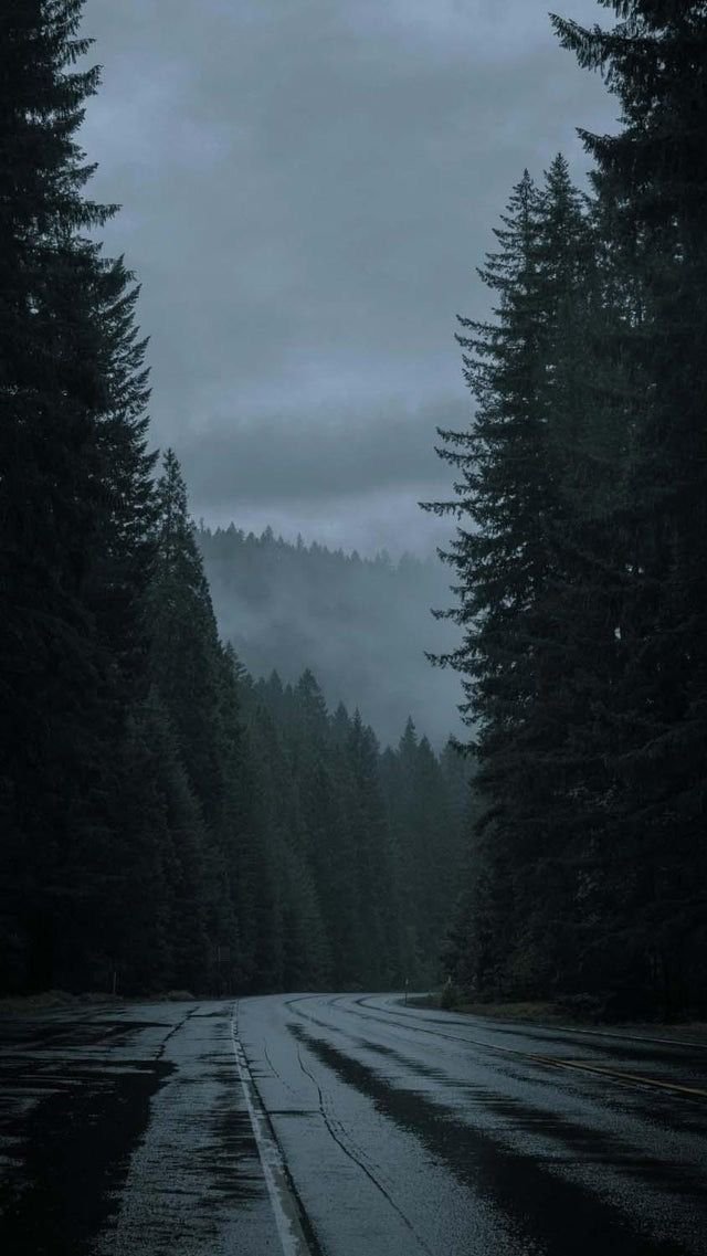 Woods Download Wallpapers