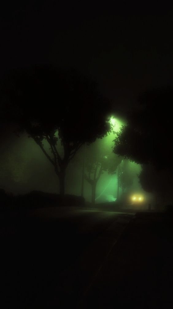 Tree Download Wallpapers
