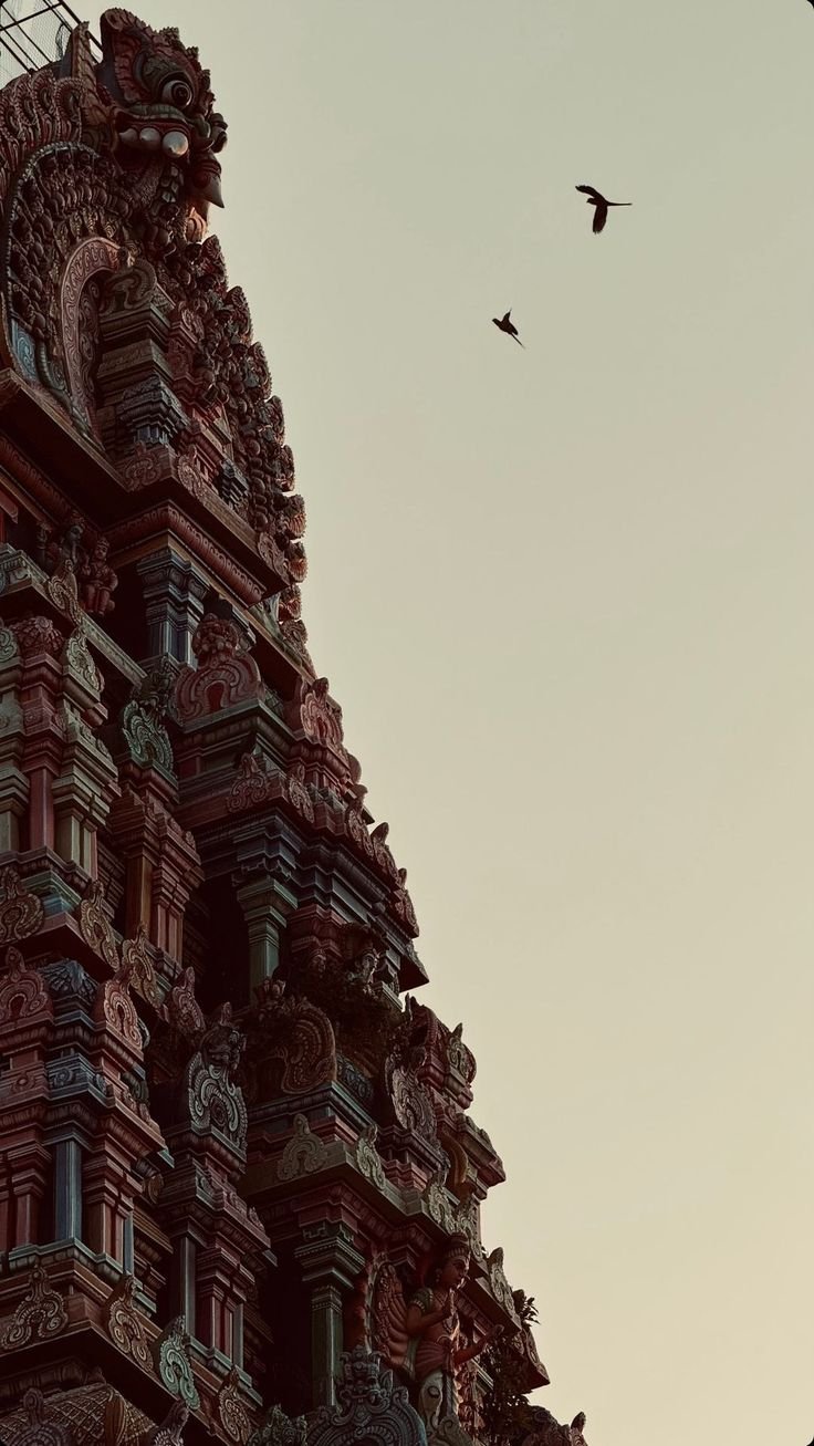 Building Download Wallpapers