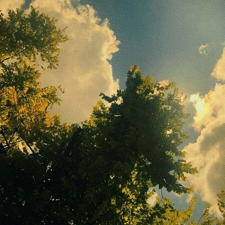 Tree Download Wallpapers