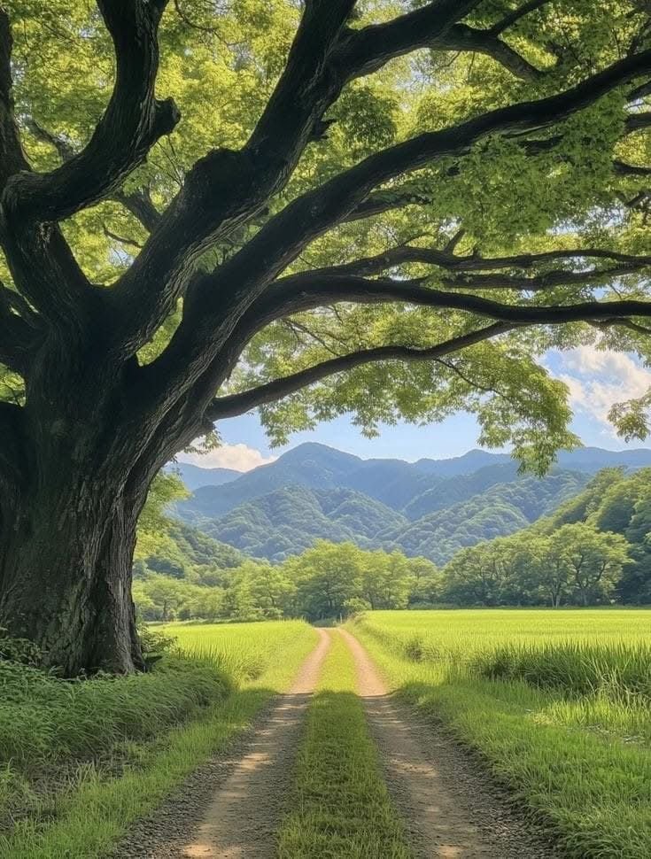 Tree Download Wallpapers