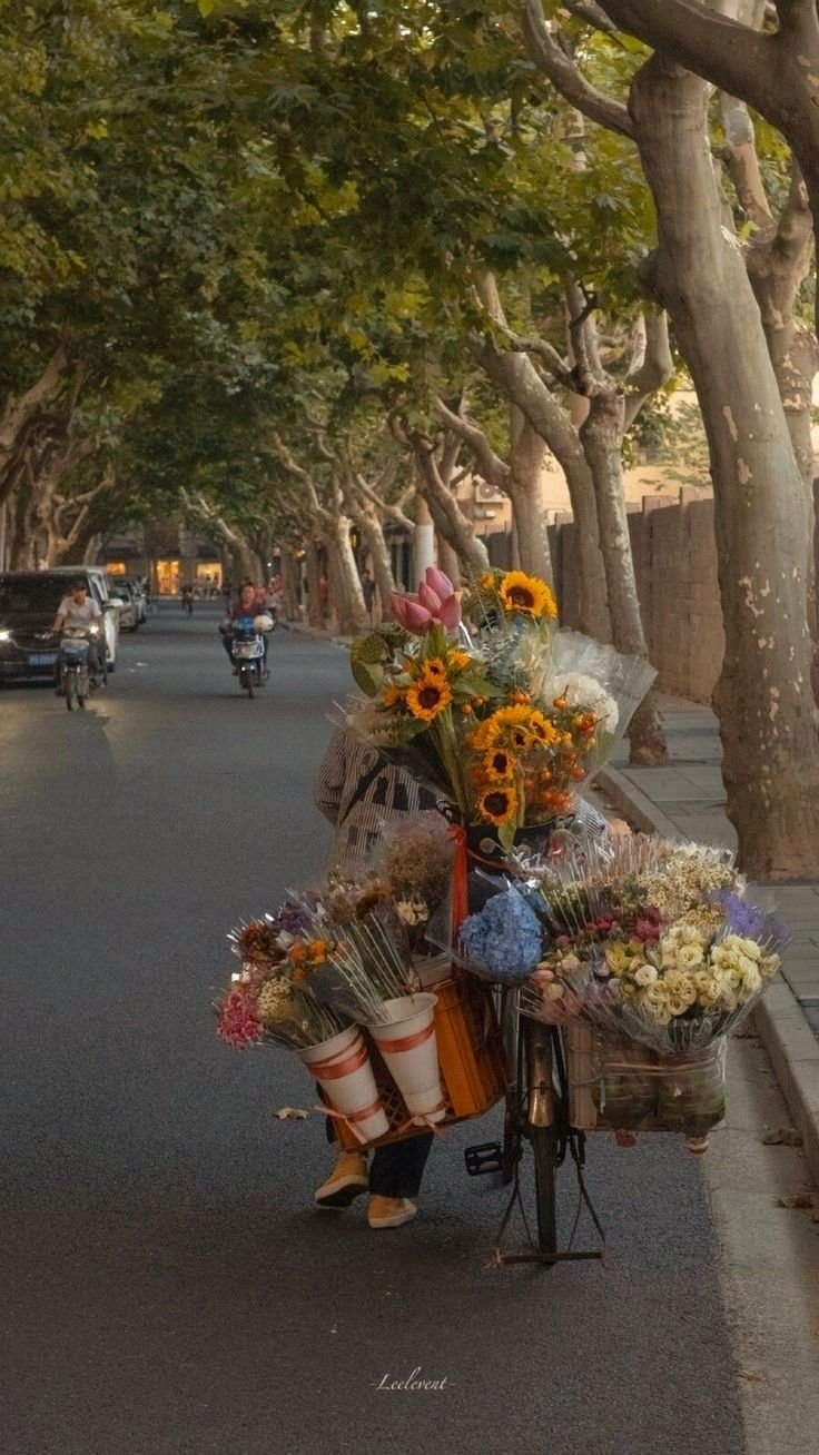 Flower Download Wallpapers