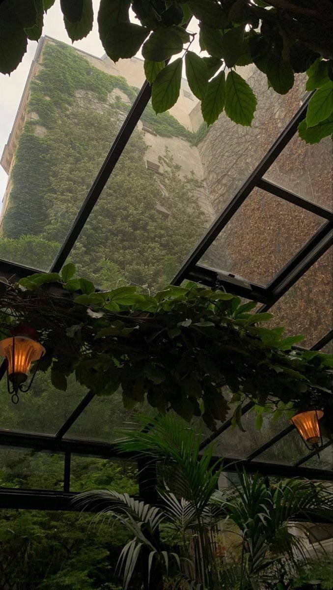 Ceiling Grass Download Wallpapers