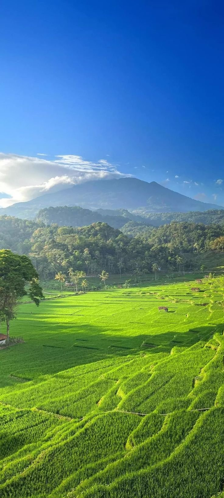 Mountain Download Wallpapers