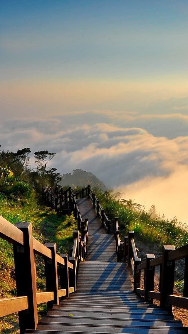 Bridge Download Wallpapers
