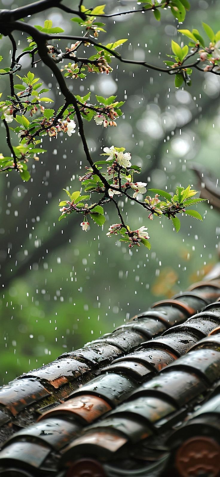 Flower Tree Download Wallpapers