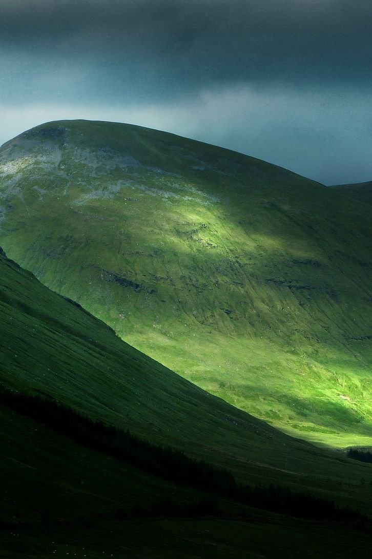 Grassland Download Wallpapers